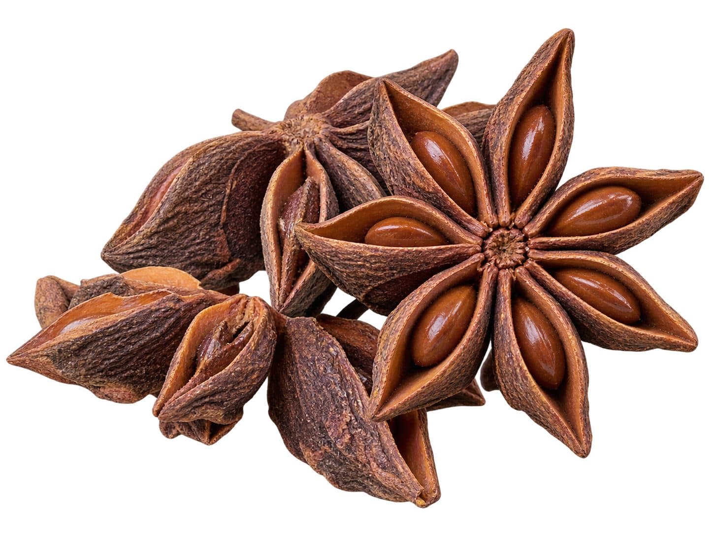 Star Anise — Premium grade, 100% organic from Spicy Keralam, Alappuzha, Kerala