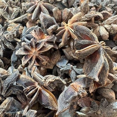 Star Anise at Spicy Keralam, Alappuzha